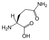 L-glutamină în Keto Diet